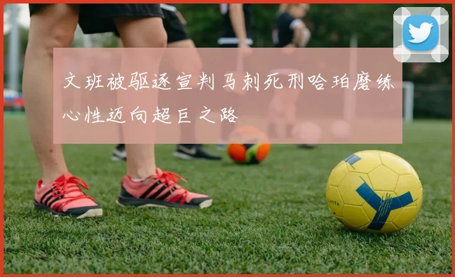 文班被驱逐宣判马刺死刑哈珀磨练心性迈向超巨之路