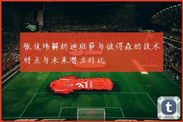 张佳玮解析迪班萨与彼得森的技术特点与未来潜力对比
