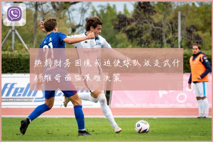 热刺财务困境或迫使球队放走武什科维奇面临艰难决策